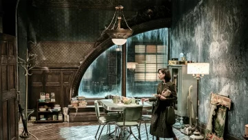 t-Shape-of-Water-Suyun-Sesi-IMDB