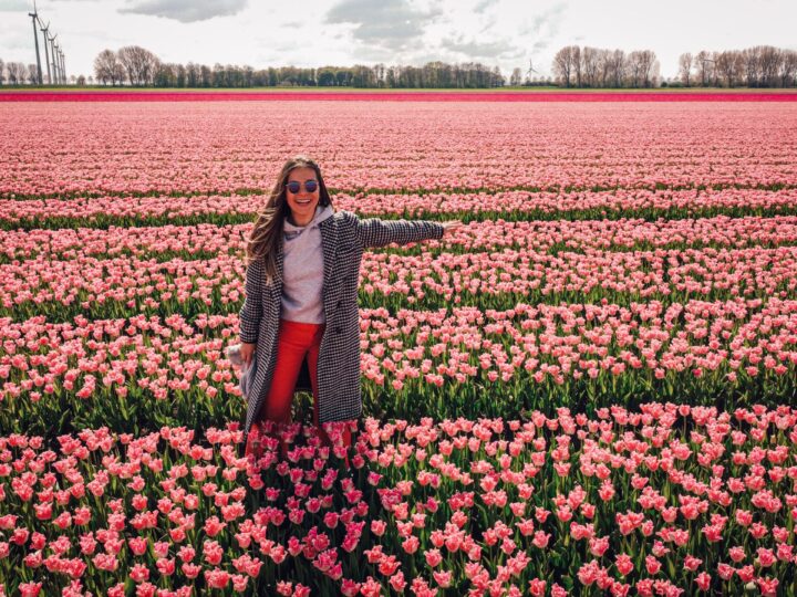 Amsterdam-Video